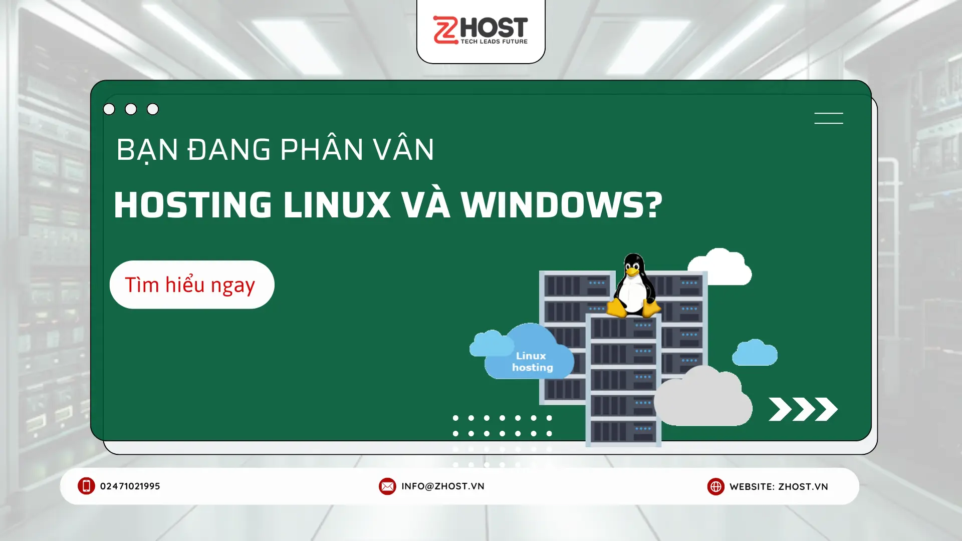Hosting Linux Va Windows