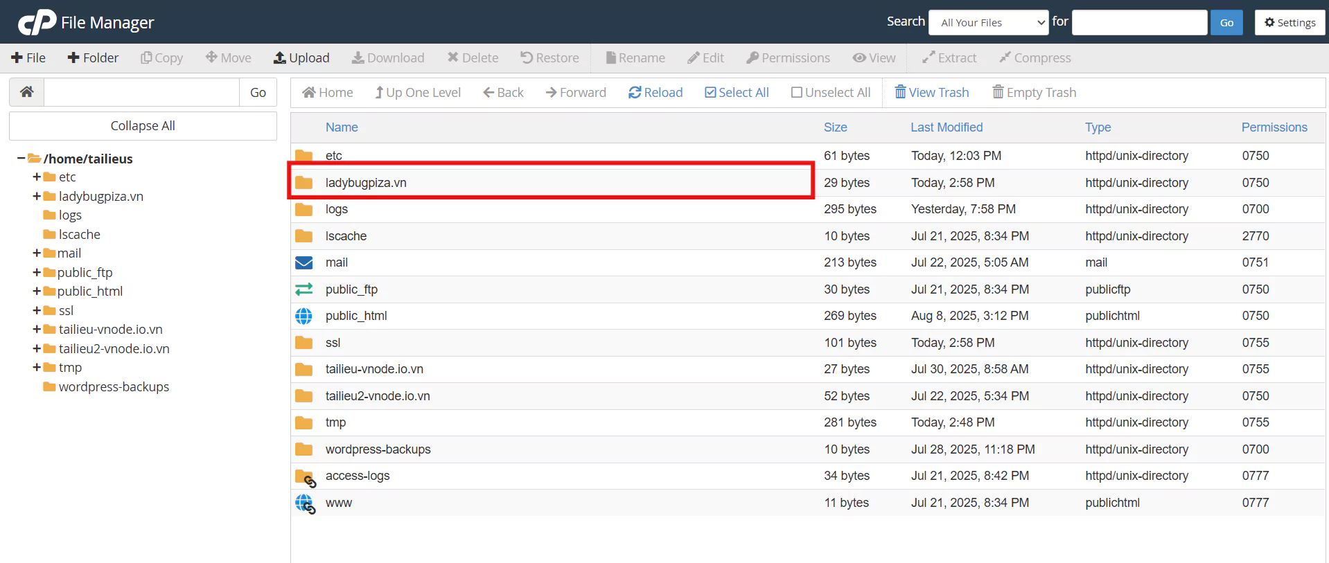 31 8 Cpanel 6
