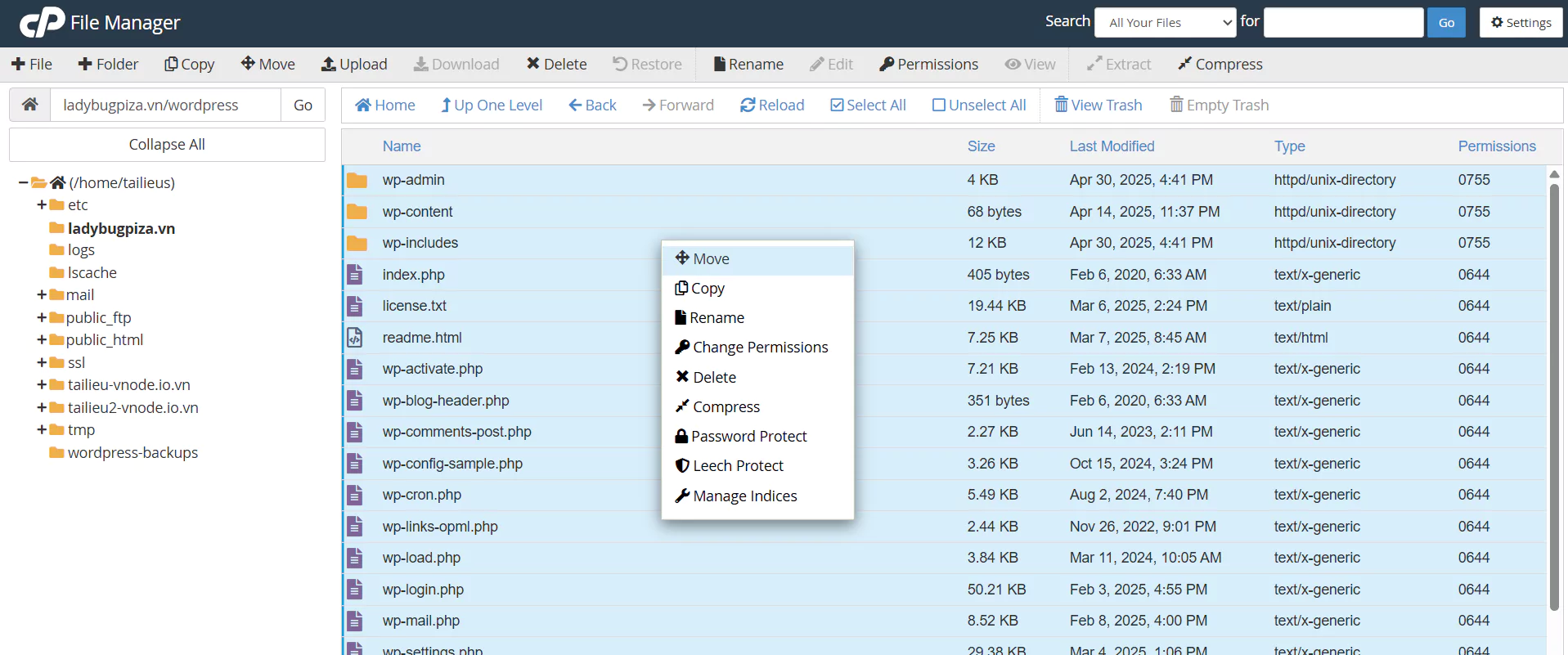 31 8 Cpanel 9