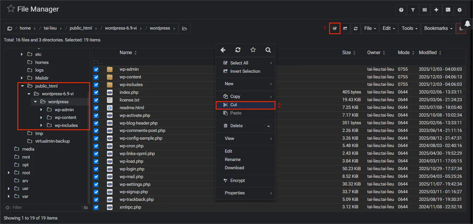 3.install Wp Virtualmin