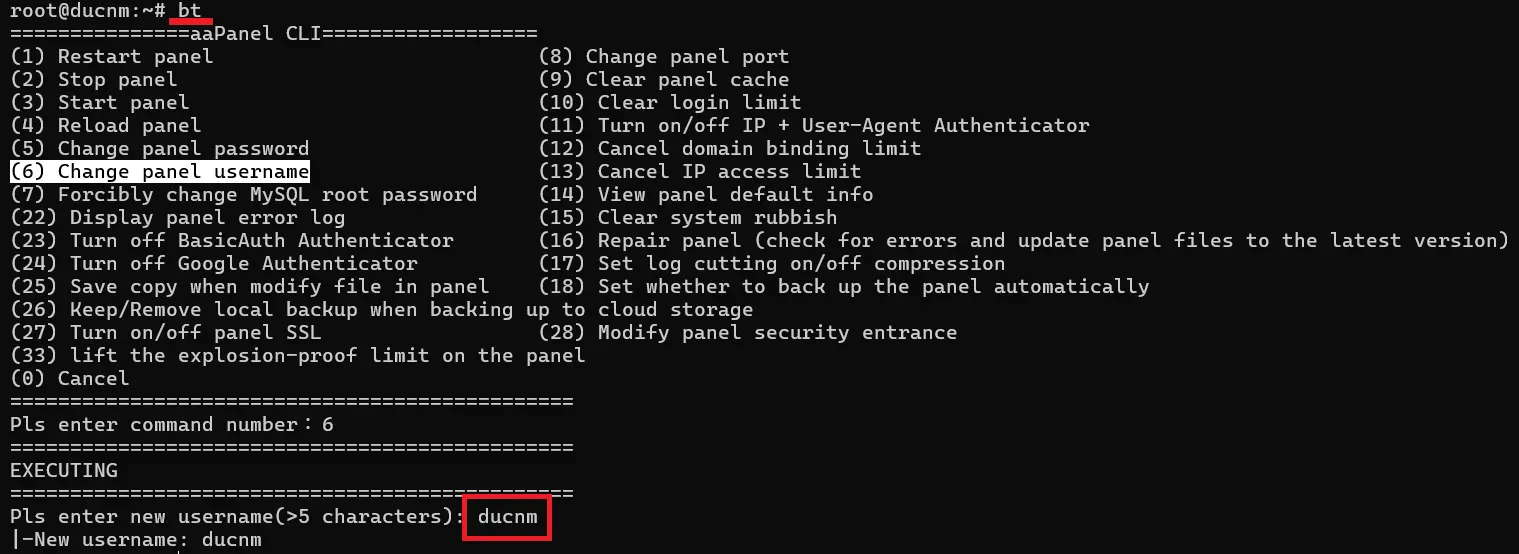 3.change Info Aapanel