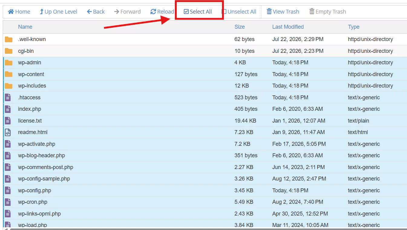 Cpanel 31.07.2026 03