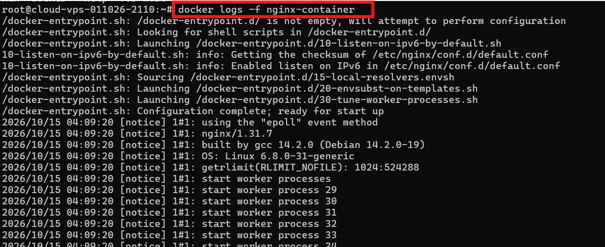 nginx
